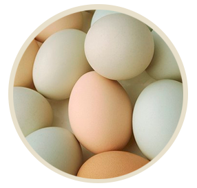 avicola producto1