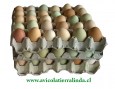 huevos-30unidades